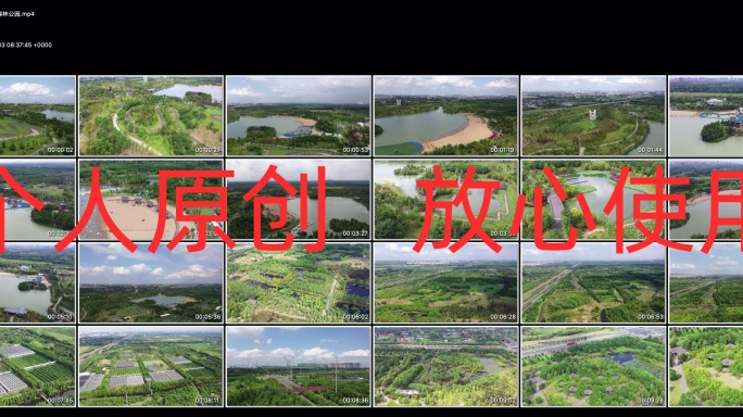 【4K高清原创】常州新龙生态森林公园