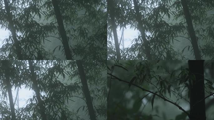 4K半山云雾中的竹林04
