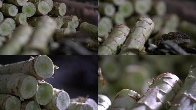 新鲜莴笋青笋莴苣