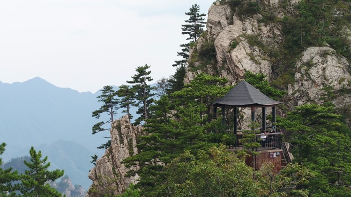 西峡县伏牛山老界岭自然保护区