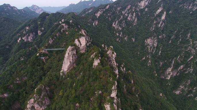 西峡县伏牛山老界岭自然保护区