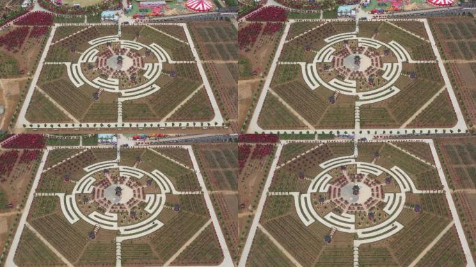 南阳月季基地八卦亭航拍