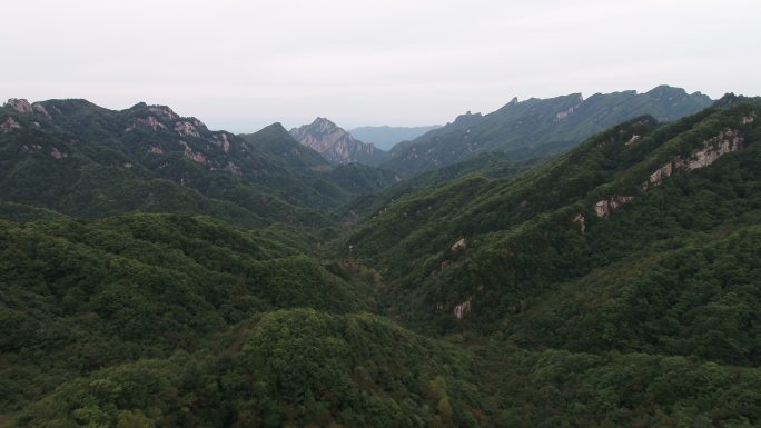 西峡县伏牛山老界岭自然保护区