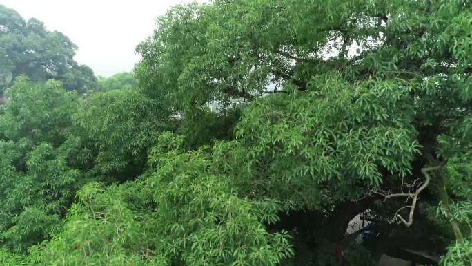 【4K】重庆北碚偏岩古镇航拍素材组