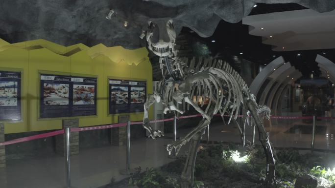 内乡县宝天曼自然保护区航拍恐龙化石