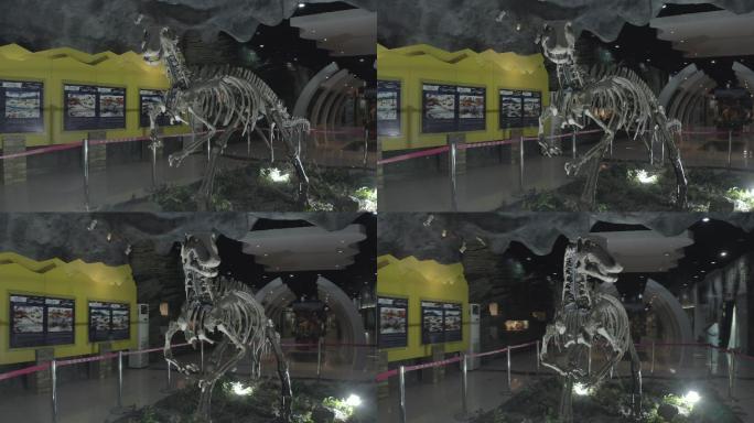 内乡县宝天曼自然保护区航拍恐龙化石