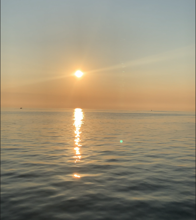 【竖版4K】海面夕阳