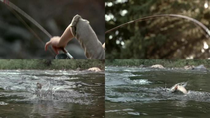 鱼上钩慢镜头 钓鱼出水翻花特写镜头