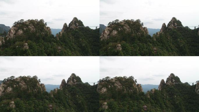 西峡县伏牛山老界岭自然保护区