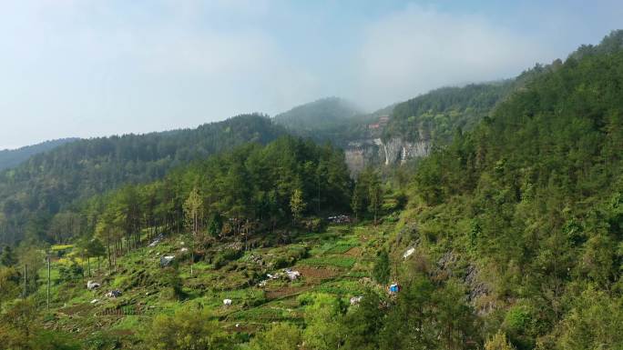 重庆酉阳桃花源航拍视频