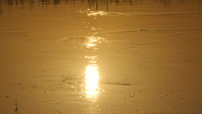 金色夕阳-流动河水