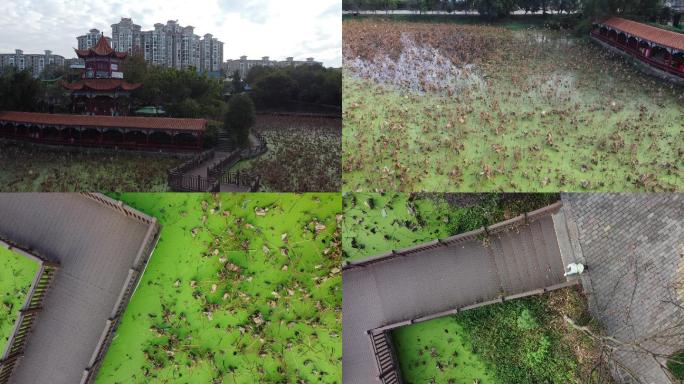 航拍公园池塘栈道