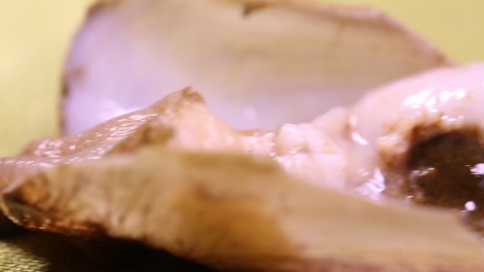 微距花蛤蛏子砂囊内脏 (4)