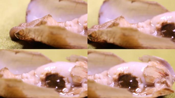 微距花蛤蛏子砂囊内脏 (4)
