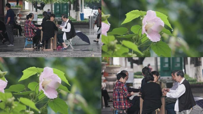 【4K慢镜头】老年人雨天打麻将