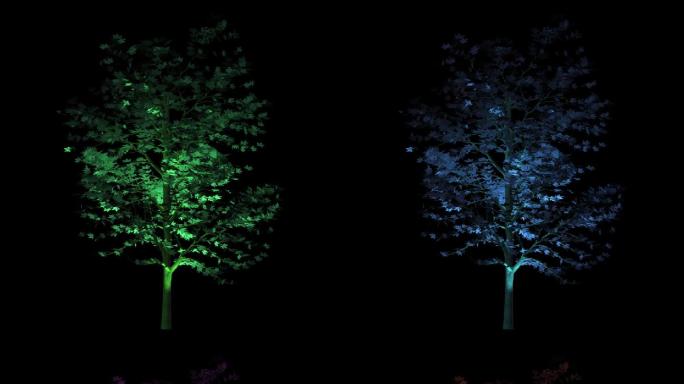 树灯光 照树灯