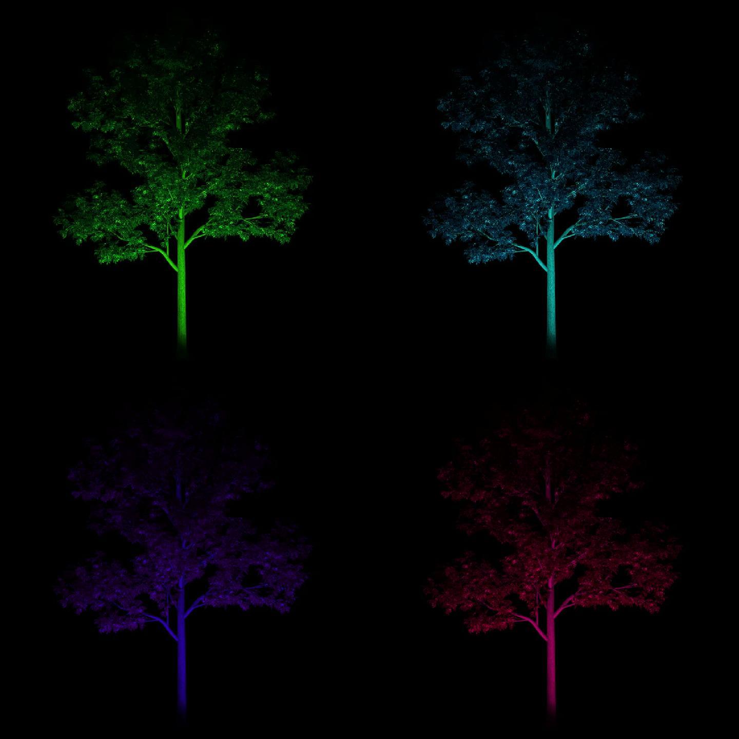 染色树