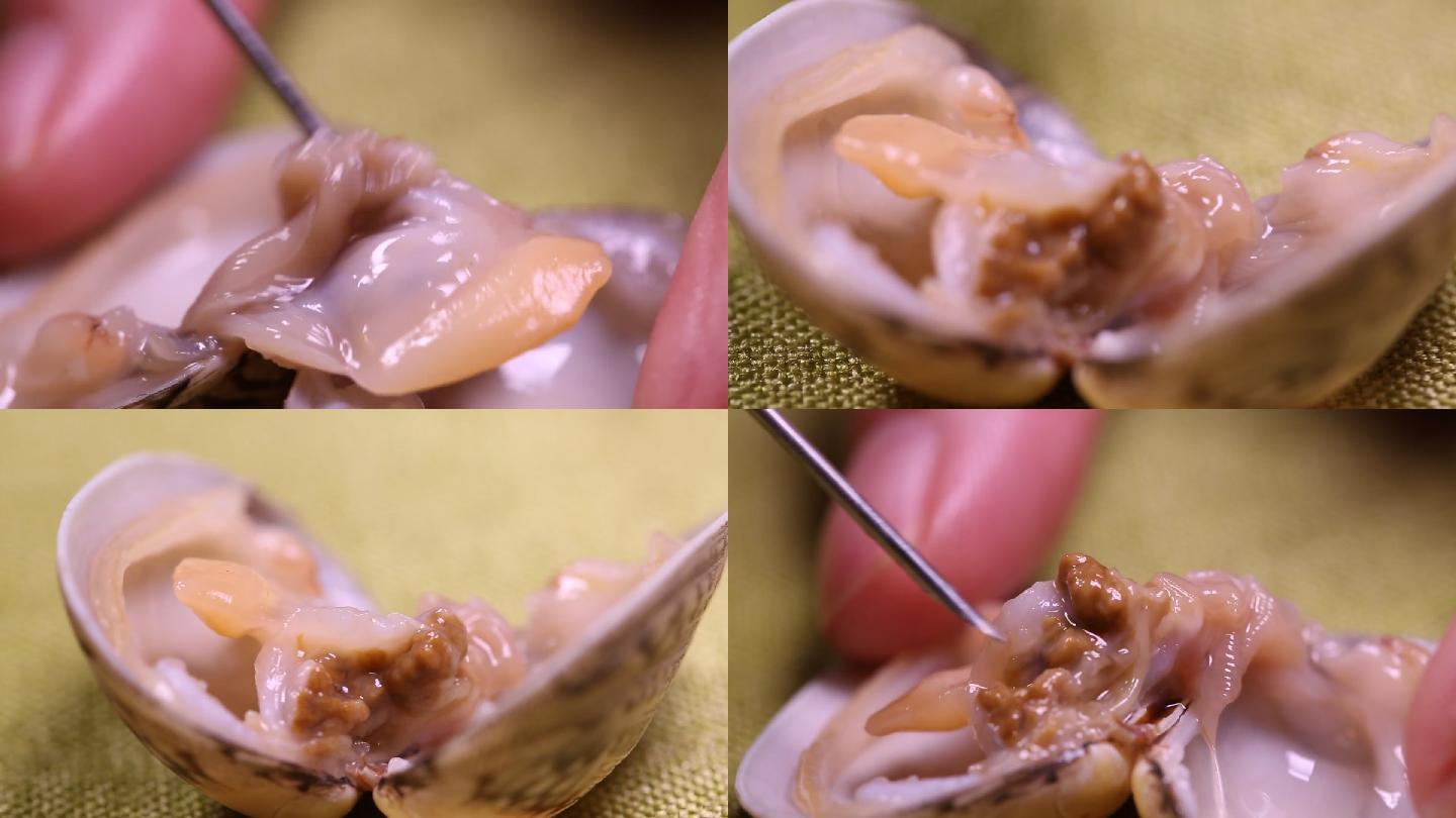 微距花蛤蛏子砂囊内脏 (3)