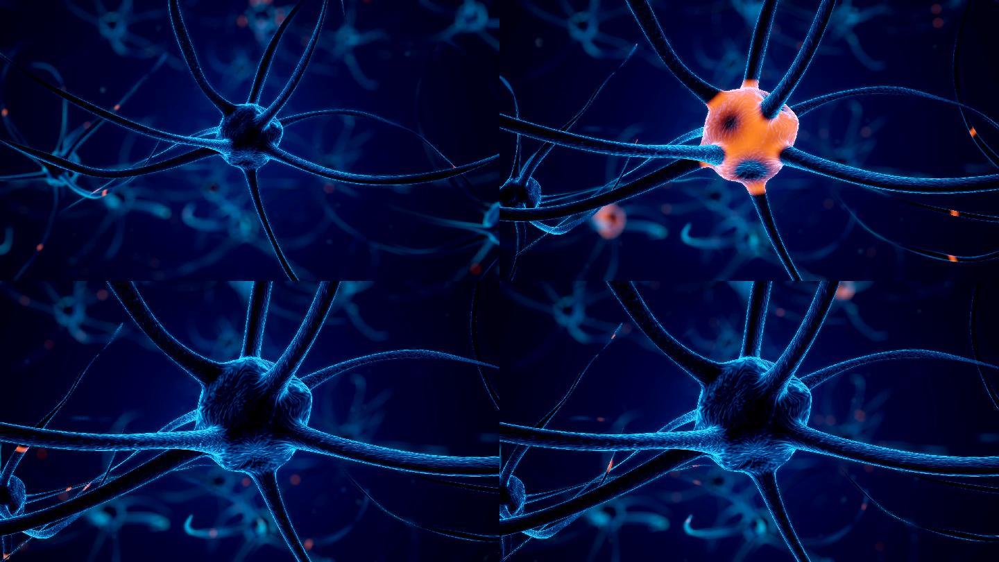 蓝色放电神经元神经细胞
