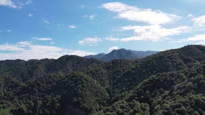 广西贺州市富川柳家乡茅刀源村-森林公园