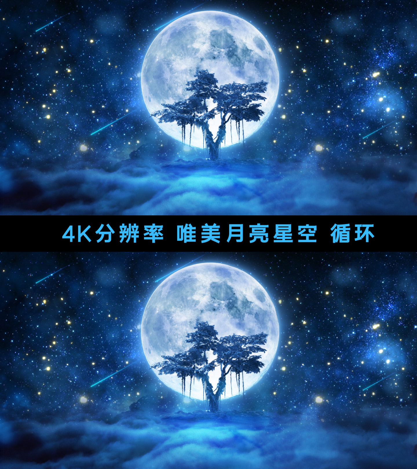 星空月夜树下【4K分辨率循环】