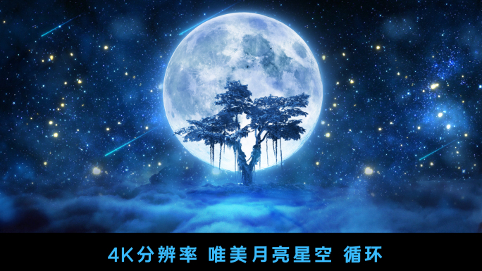 星空月夜树下【4K分辨率循环】