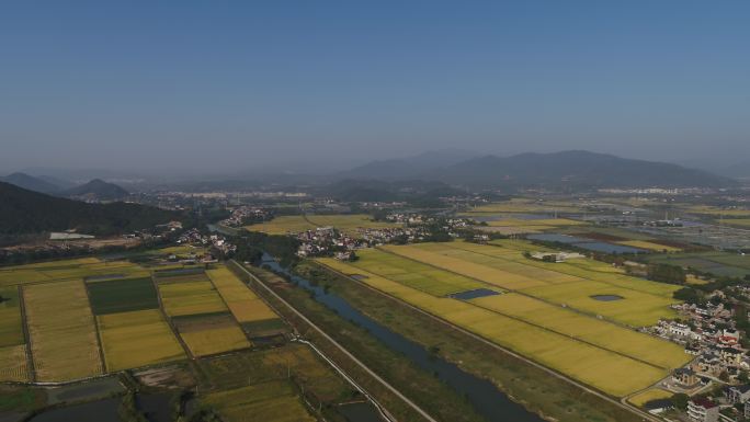 杭州余杭丰收田野