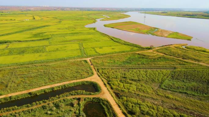 粮食产区-稻田与黄河