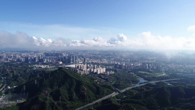 龙华大景