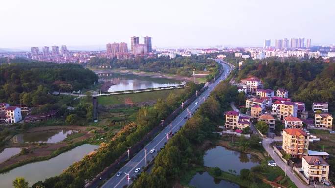 江西省泰和县白凤大道街景
