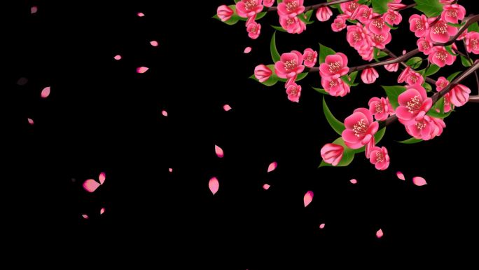 海棠花边框-无缝循环