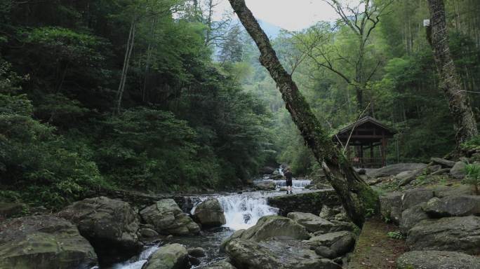 4K山中溪水流淌10