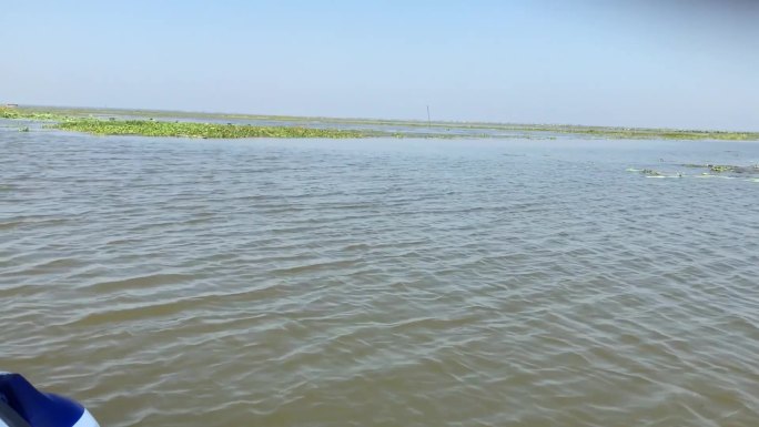 湖北荆州游艇上拍洪湖水面水上浮萍