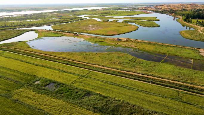 粮食产区-稻田与湿地