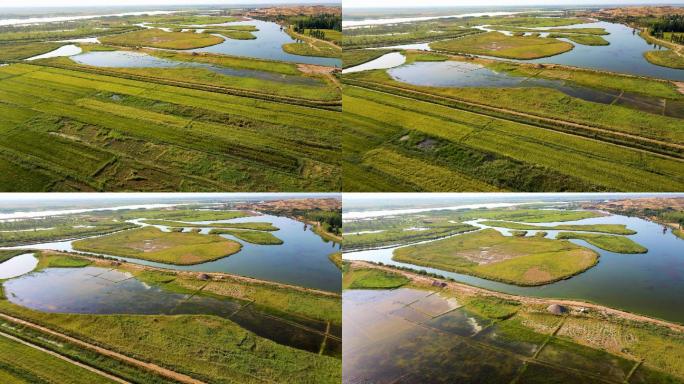粮食产区-稻田与湿地