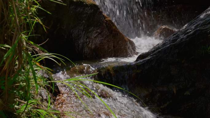 11503 大自然山涧涓涓流水