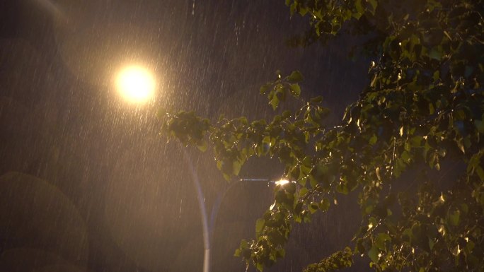 夜晚打雷下雨的路灯树枝街道