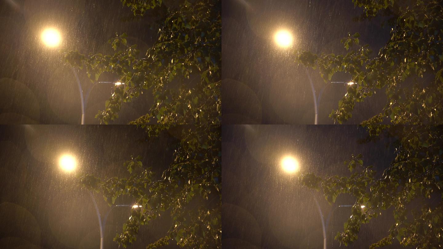 夜晚打雷下雨的路灯树枝街道