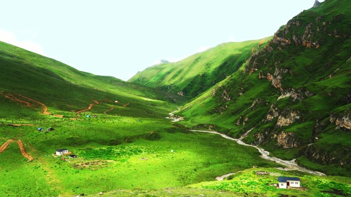 唯美西藏风光4K延时空镜牦牛草原