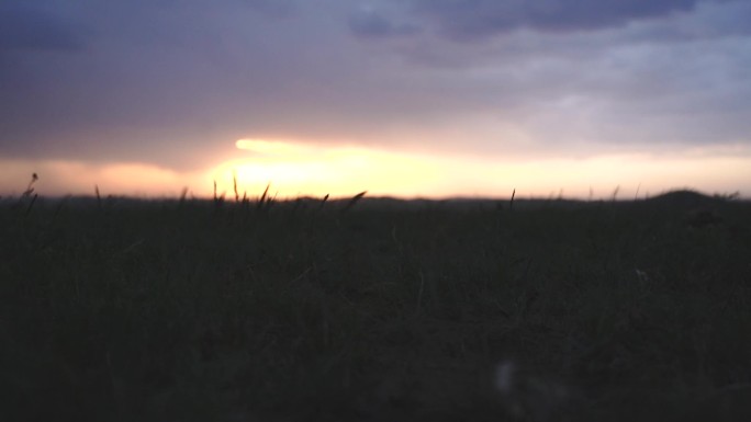 草原日落