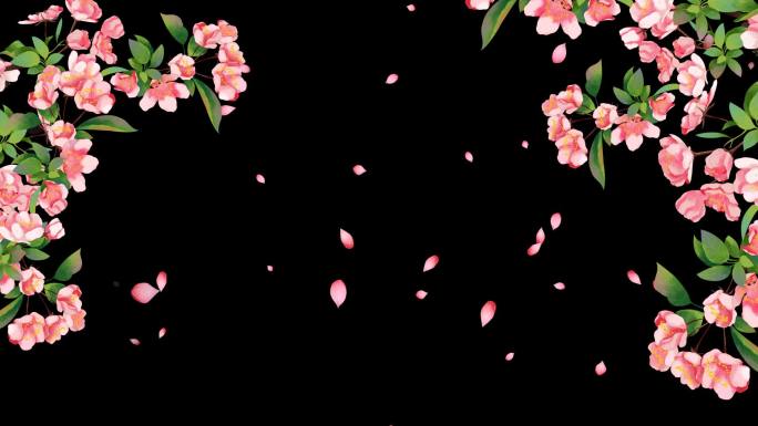 海棠花边框-无缝循环