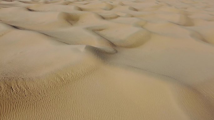 一片荒芜的沙漠