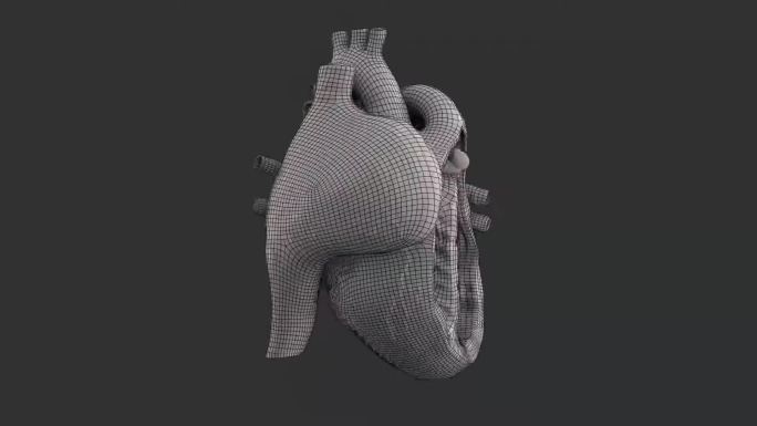 心脏三维动画