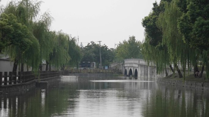 池塘边的柳树与小桥