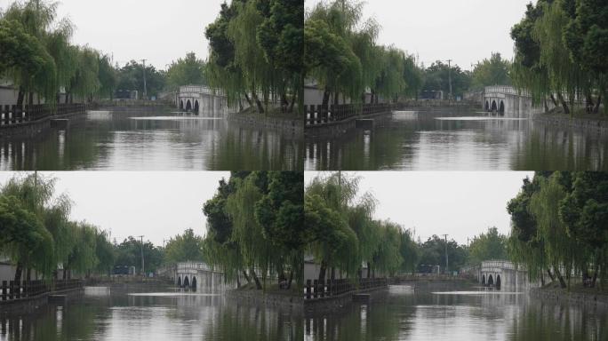 池塘边的柳树与小桥