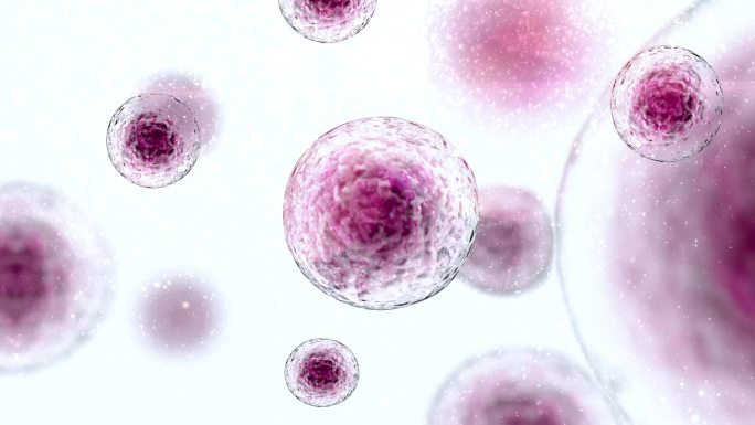 干细胞免疫治疗干细胞漂浮