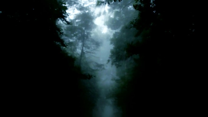 穿过一片黑暗的森林