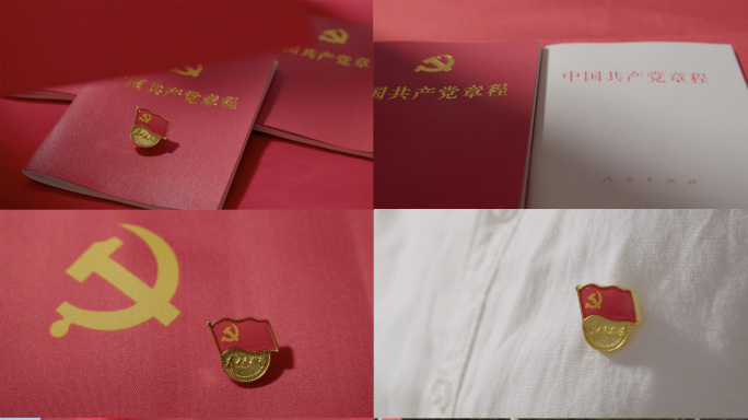 红色元素中国共产党章程党徽
