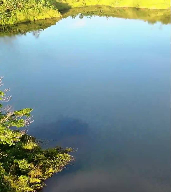 竖排 航拍 抖音 风景 航拍 手机