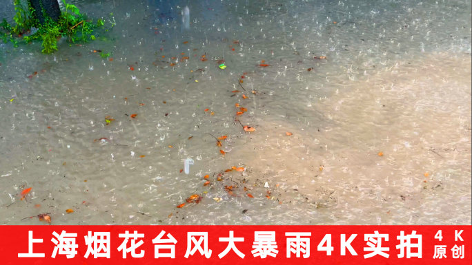 上海烟花台风大暴雨4K实拍